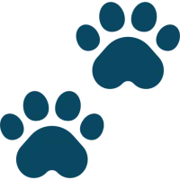 Pet Services