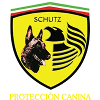 Schutz Dog Training